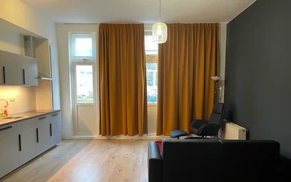 Całe miejsce Jan Porcellisstraat, Delfshaven, obraz 6 10