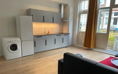 Całe miejsce Jan Porcellisstraat, Delfshaven, obraz 7 10