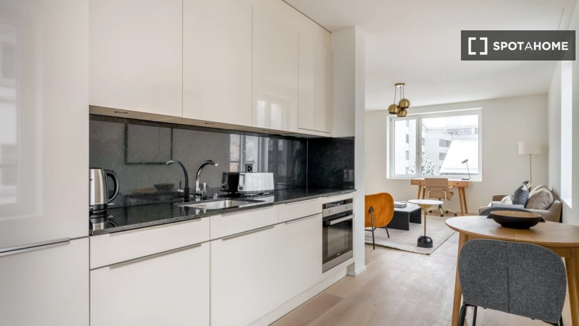 Luminoso e moderno appartamento a Zurich