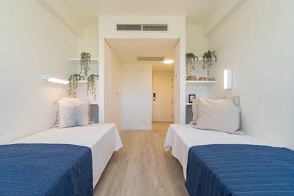 Shared room in 3-bedroom flat estoril