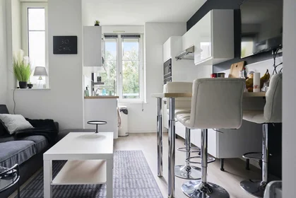 Habitación privada en 27 rue MARECHAL OUDINOT, imagen 8 de 13