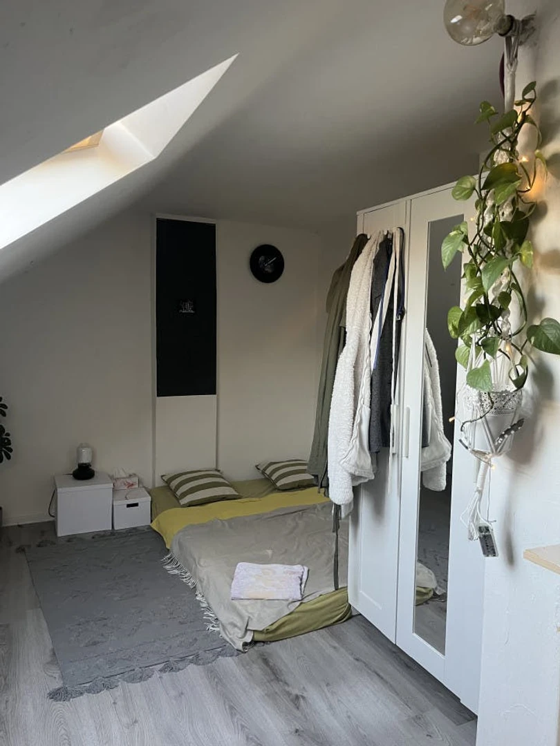 Alquiler de habitación en piso compartido en Praga