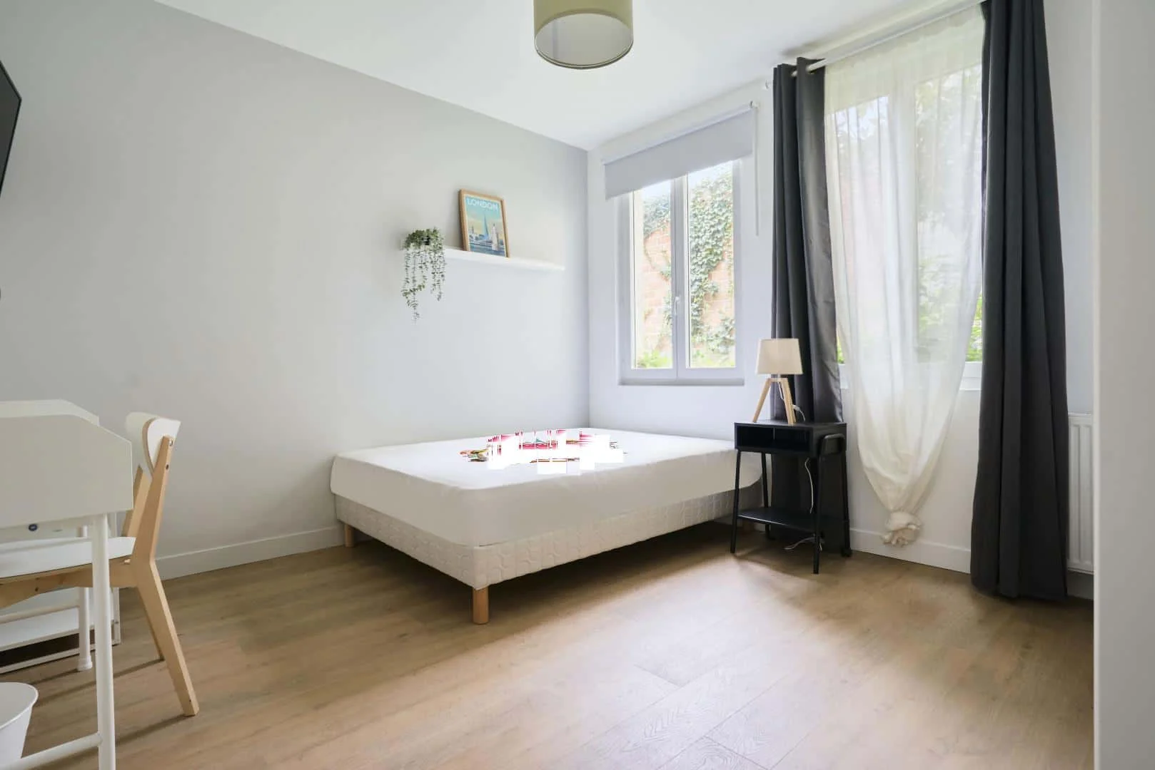 Affordable room for students with ample lighting in 