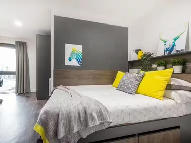 Habitación en alquiler con cama doble Seattle