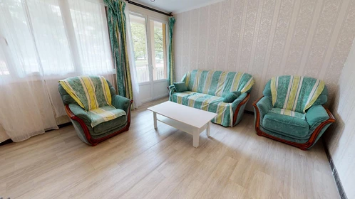 Chambre privée à 21 Rue Alfred Brinon, image 21 de 44