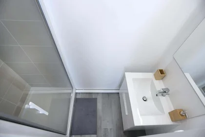 Privatzimmer in der 8 Rue Georges Hamon, 29200 Brest, France, bild 3 von 9