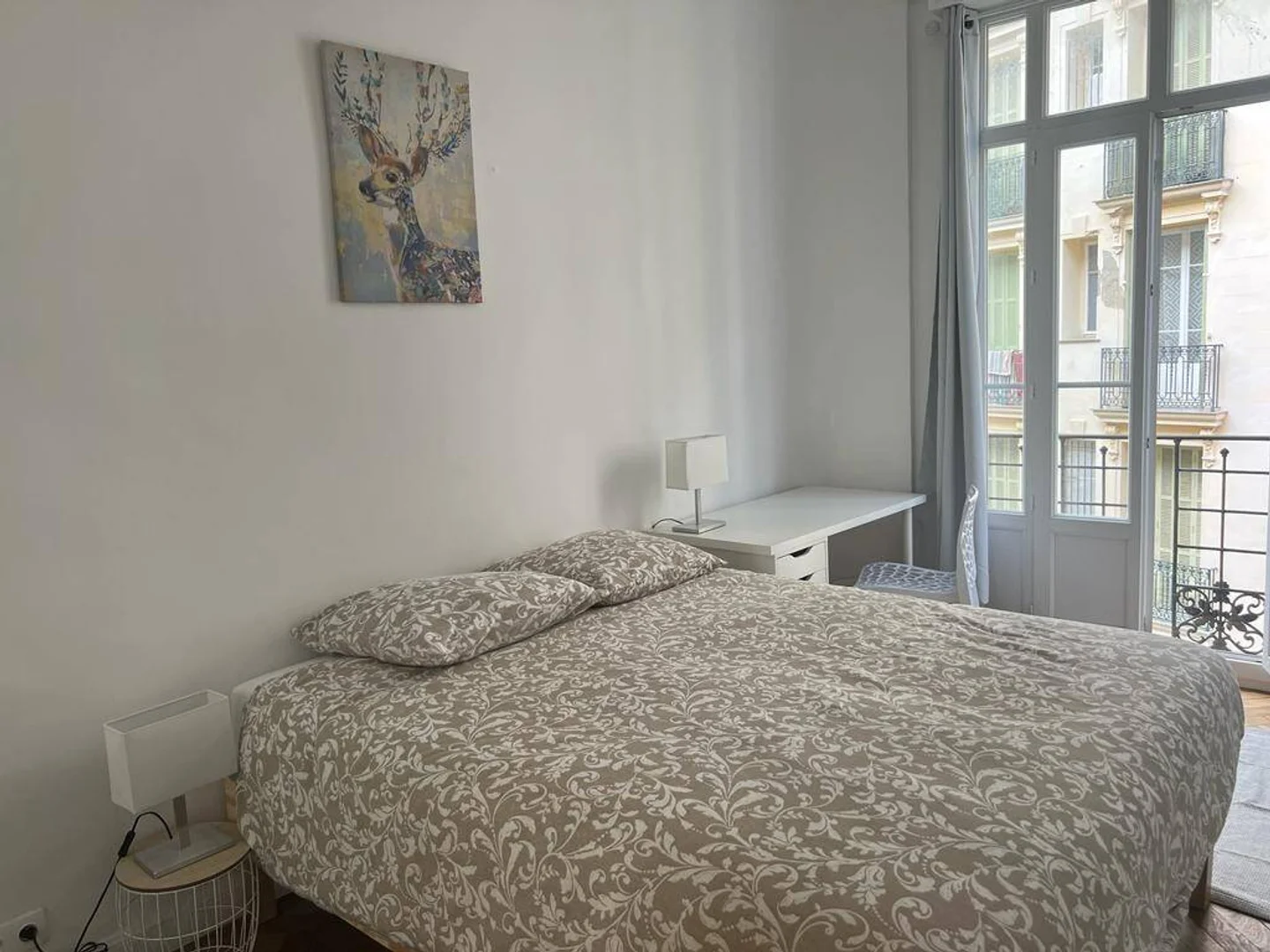 Affordable room for students with ample lighting in 