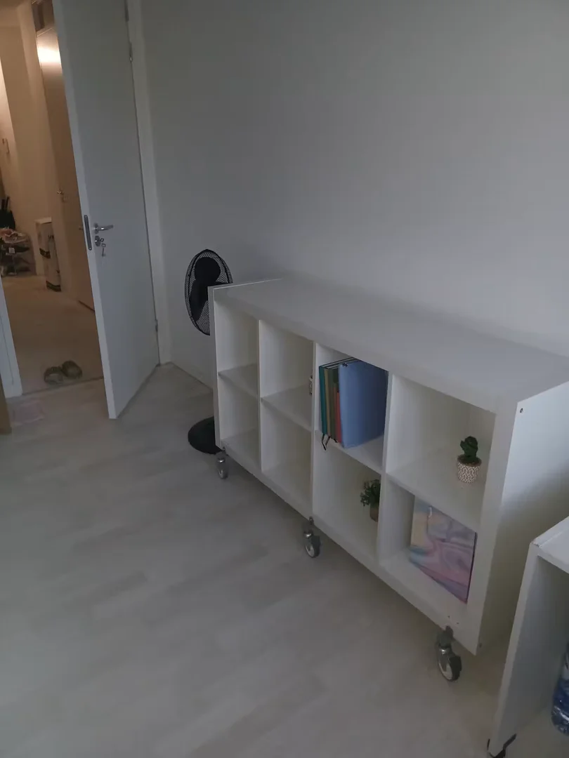Chambre abordable pour les étudiants avec un bon éclairage dans 
