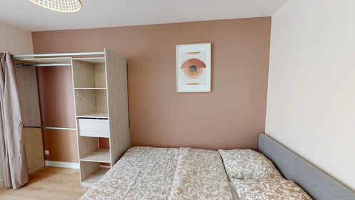 Prywatny pokój 79 Boulevard Général Vanier, obraz 3 34
