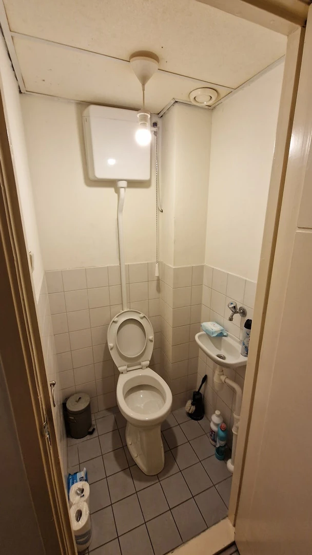 Room for rent in a shared flat in The Hague