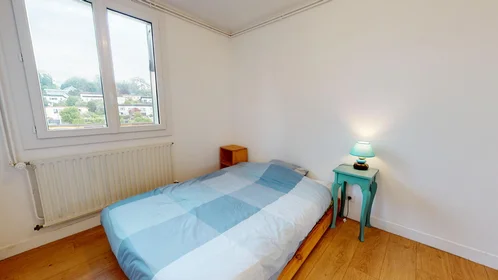 私人房间 在 23 Rue Charles Et Patrice Buet, 12的图像4