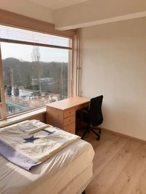 Alquiler de habitación en piso compartido en Rotterdam