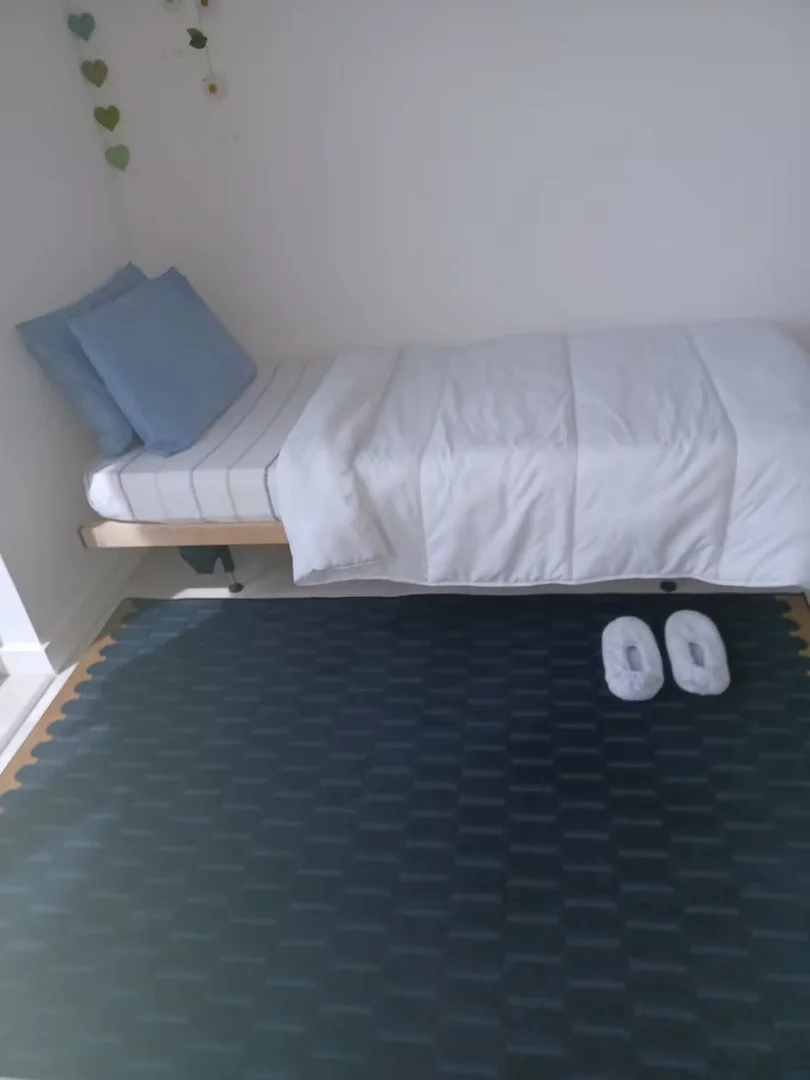 Chambre d'étudiant confortable et spacieuse dans 