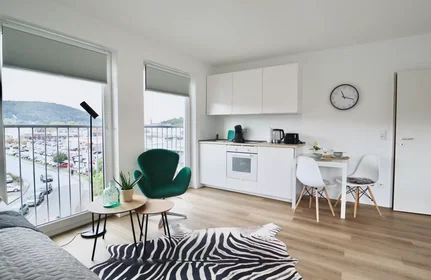 Entire apartment at Tannenbergstraße, Elberfeld, image 3 of 5
