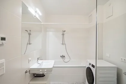 Quarto privado em Waagner-Biro-Straße, Lend, imagem 6 de 10