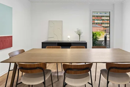 Privatzimmer in der Waagner-Biro-Straße 128, 8020 Graz, Austria, bild 22 von 24