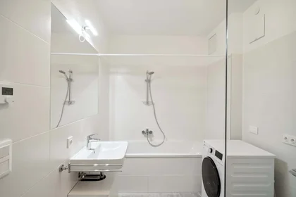 Quarto privado em Waagner-Biro-Straße 128, 8020 Graz, Austria, imagem 6 de 15