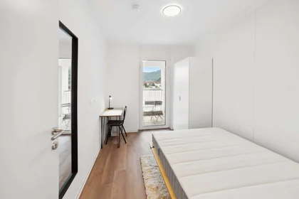 Özel oda konumu Waagner-Biro-Straße 128, 8020 Graz, Austria, 1 10 görüntüsü