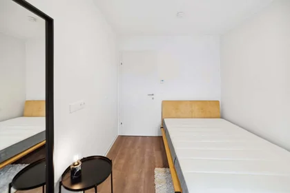 Privatzimmer in der Waagner-Biro-Straße 128, 8020 Graz, Austria, bild 2 von 32