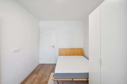 Privatzimmer in der Waagner-Biro-Straße 128, 8020 Graz, Austria, bild 2 von 12