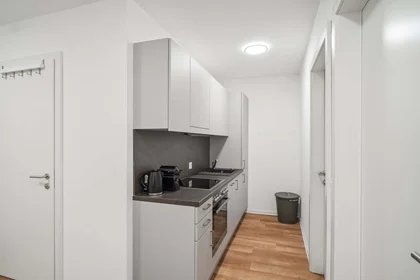 Privatzimmer in der Waagner-Biro-Straße 128, 8020 Graz, Austria, bild 4 von 12
