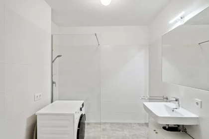 Privatzimmer in der Waagner-Biro-Straße 128, 8020 Graz, Austria, bild 5 von 12