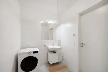 Prywatny pokój Waagner-Biro-Straße 128, 8020 Graz, Austria, obraz 1 10