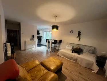 Appartamento in Napvirág utca, Budapest 2, immagine 1 di 6