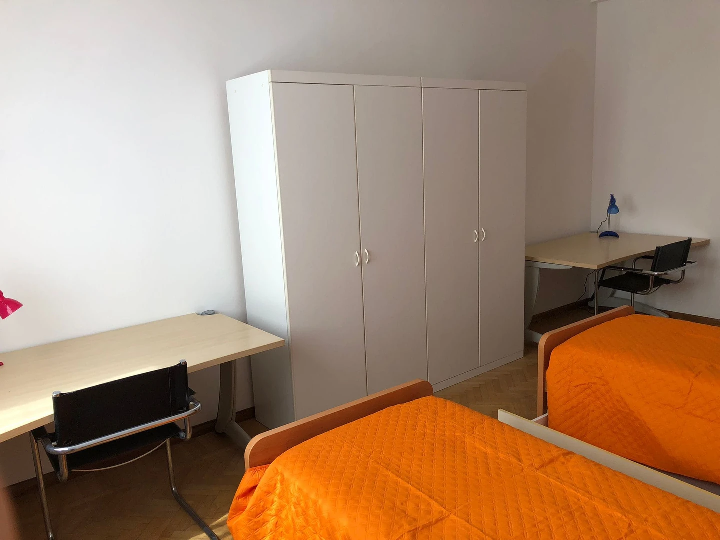 Cheap shared room in Ferrara