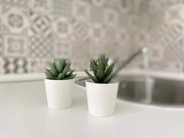 Quarto privado em C. el Pedroso, 4, 41008 Sevilla, España, imagem 13 de 16