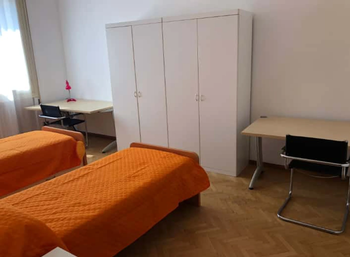 Habitación compartida con otro estudiante en Ferrara
