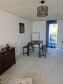 Room for rent in a shared flat in Poitiers
