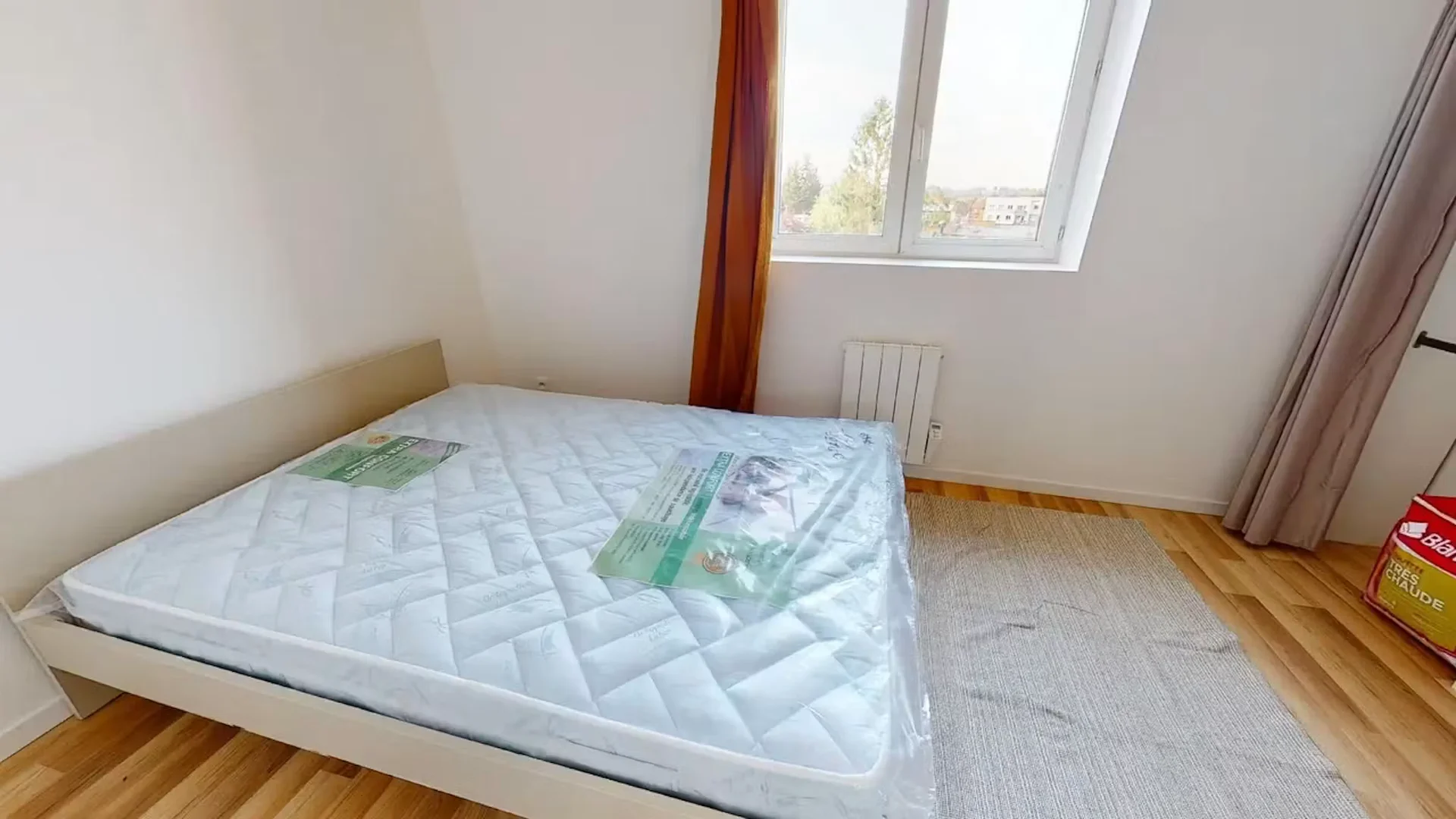 Bright and airy student room with easy university access in 