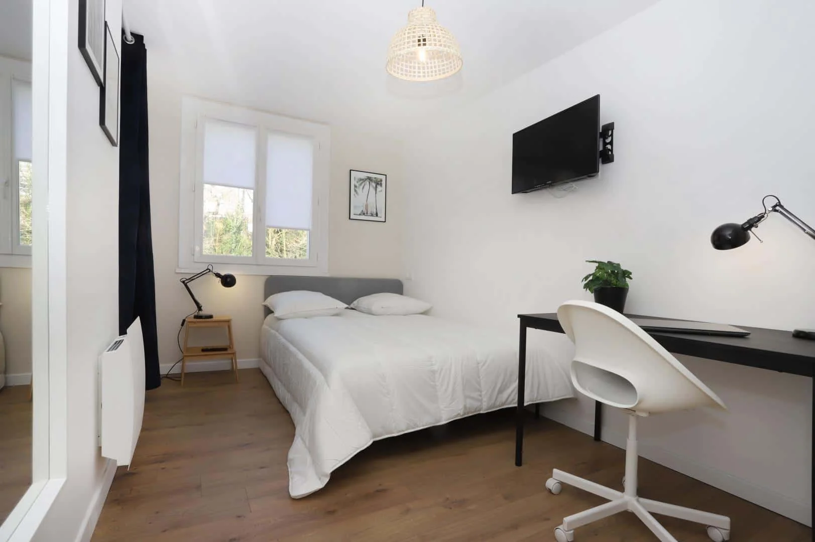 Affordable room for students with ample lighting in 