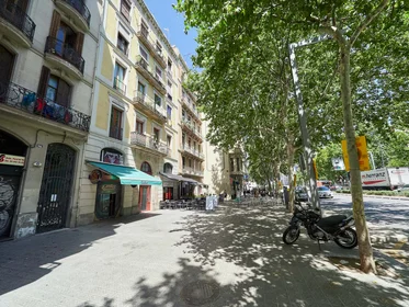 Całe miejsce Av. del Paral·lel, 92, 08015 Barcelona, España, obraz 15 20