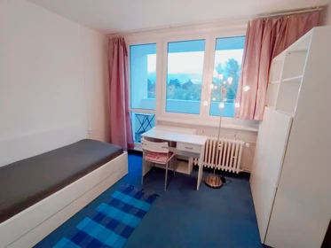 Room for rent with double bed Praha