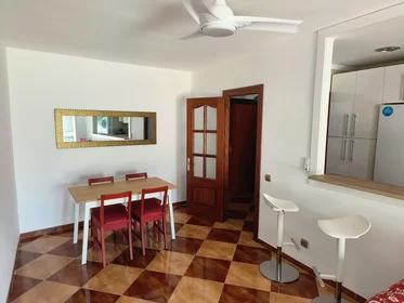 Shared room at Paseo de los Tilos, Cruz de Humilladero, image 10 of 10
