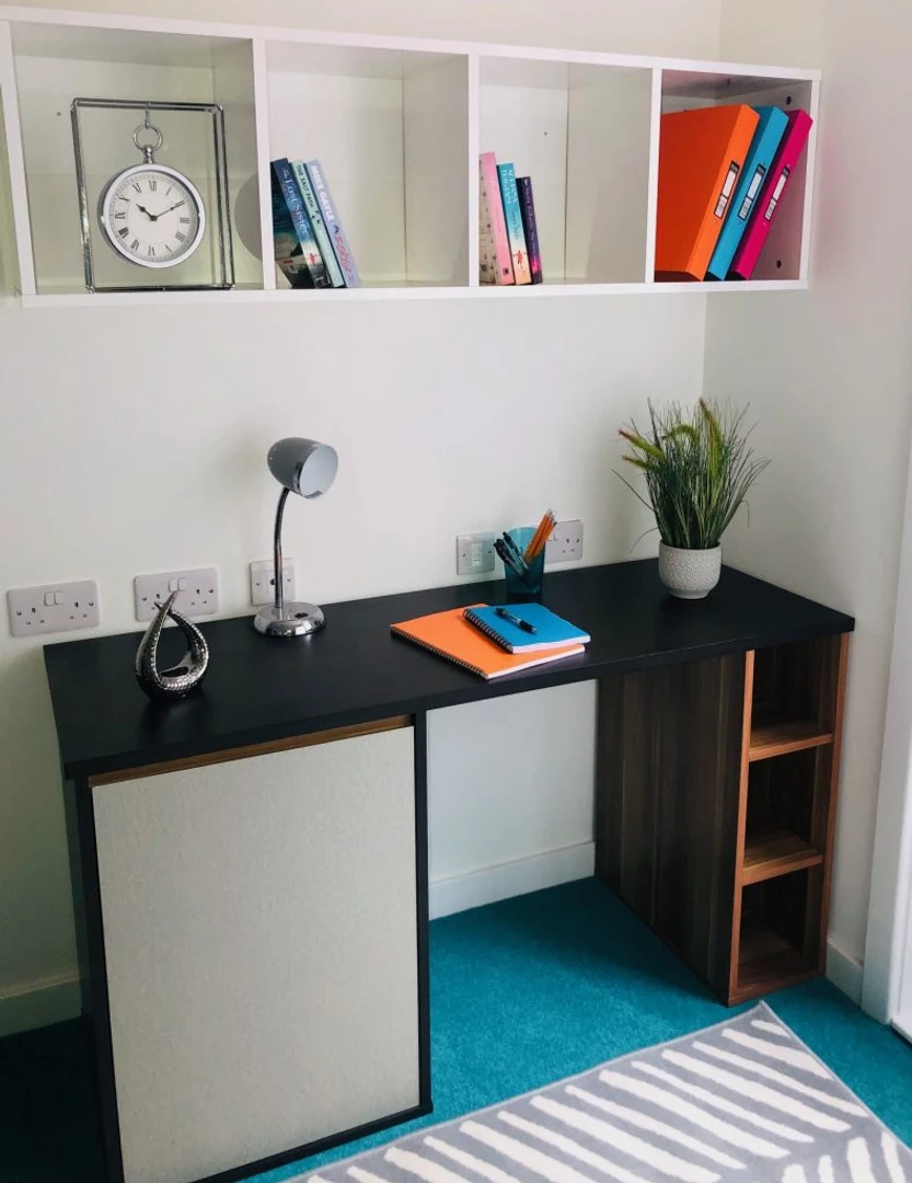 Room for rent in a shared flat in Sheffield
