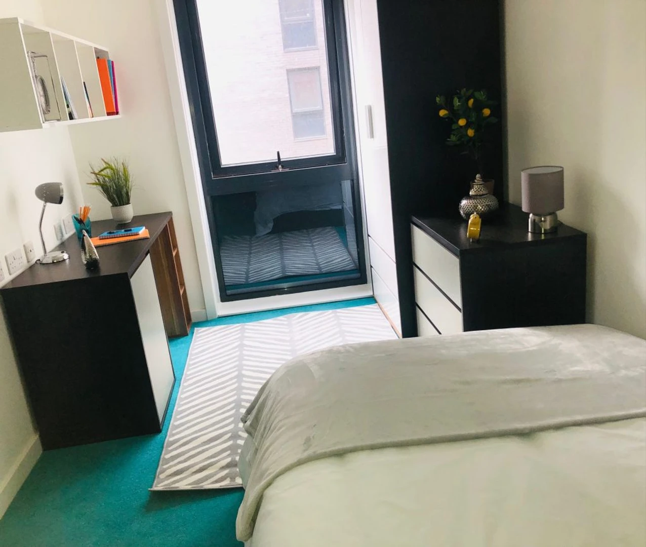 Room for rent in a shared flat in Sheffield