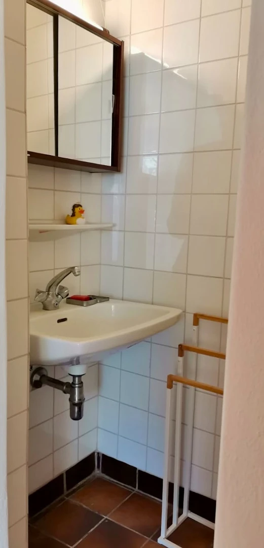 Renting rooms by the month in Salzburg