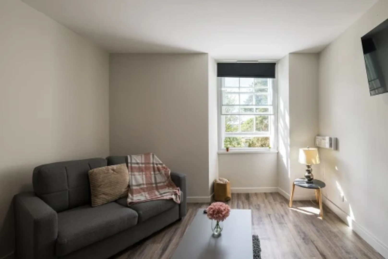  bölgesinde uygun konuma sahip ekonomik öğrenci odası