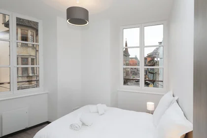 Chambre privée à Colmar, 68000, image 4 de 8