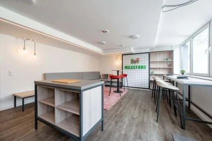 Habitación privada en Platanenweg 29, 53225 Bonn, Germany, imagen 12 de 14