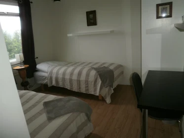 Günstiges Privatzimmer in Reykjavik