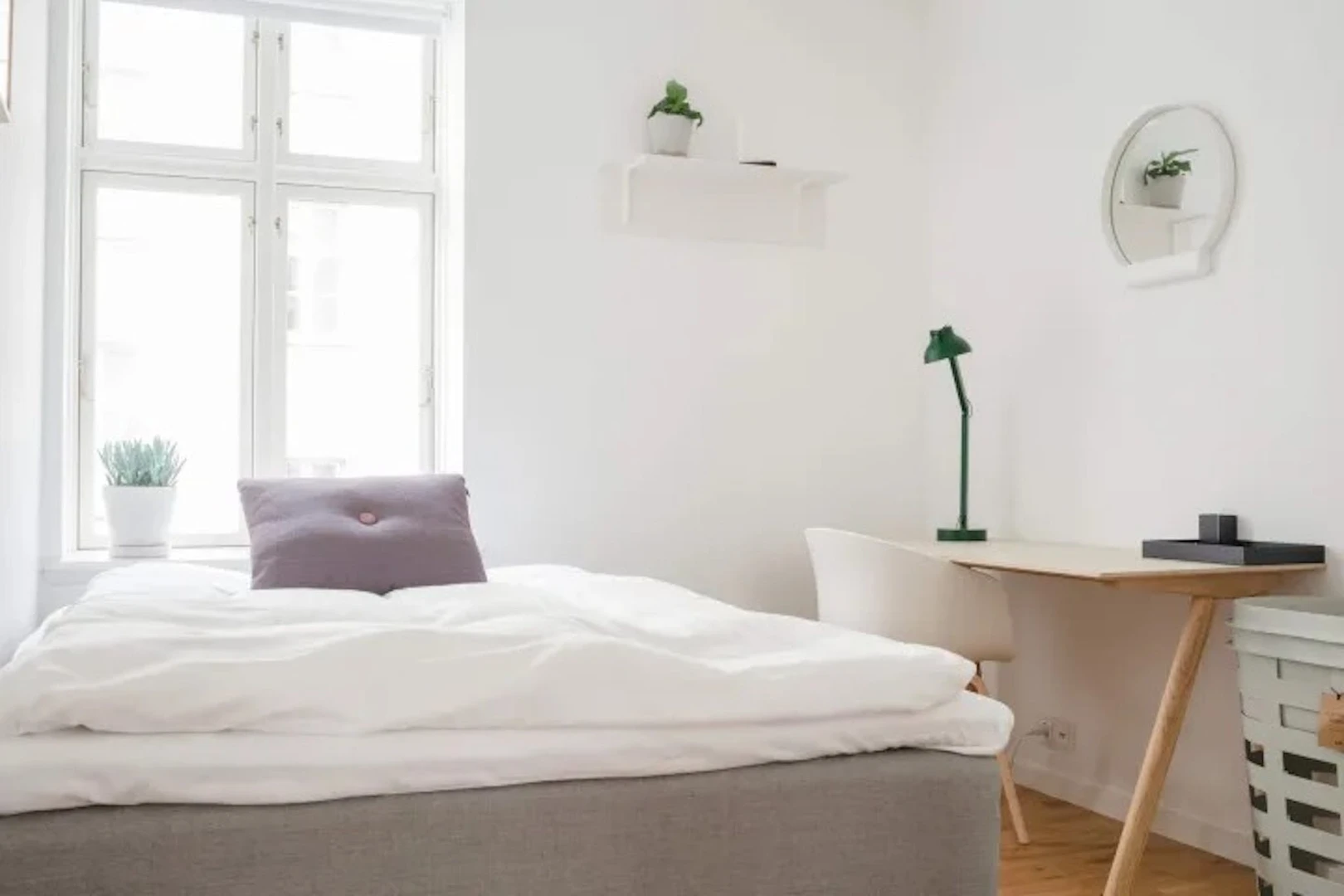 Room for rent in a shared flat in Copenhagen