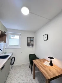 Appartamento intero in Leipziger Straße, Stadtbezirke III, immagine 7 di 9
