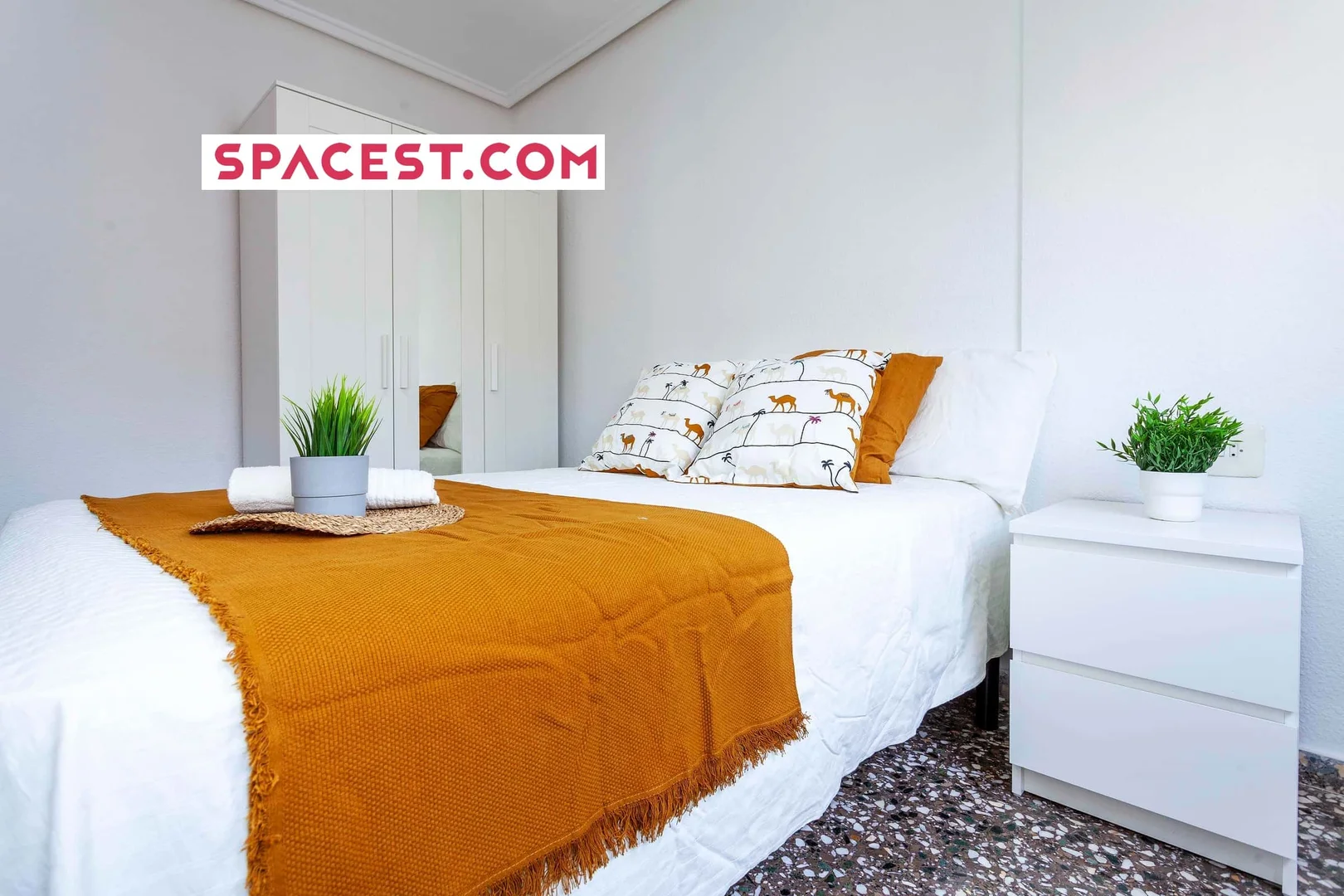 Affordable room for students with ample lighting in 