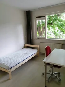 Chambre privée à Platostraat, IJsselmonde, image 1 de 10