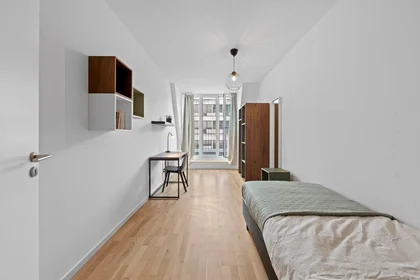 Prywatny pokój Friedrichstraße, Mitte, obraz 1 10