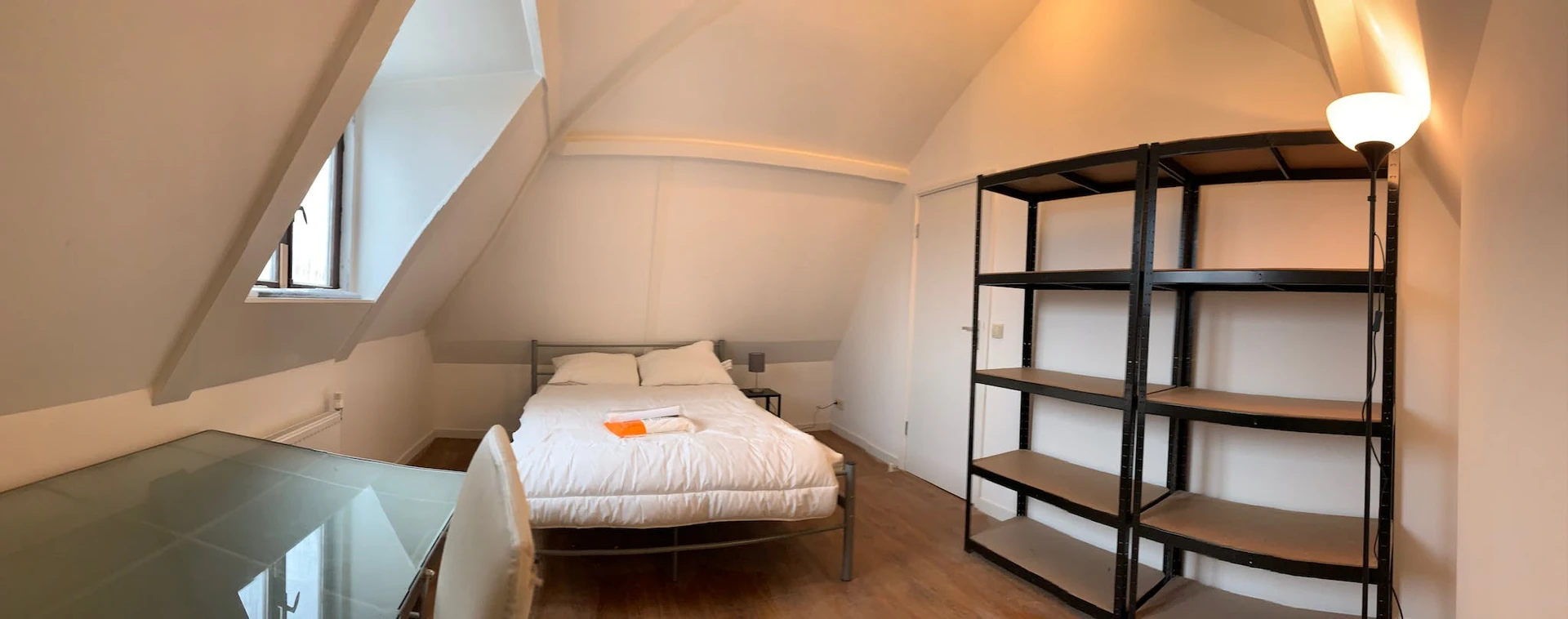 Cheap private room in rotterdam